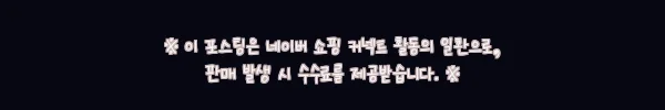하와이 와이키키 한국인 서핑 레슨, 초보 여행자가 예약 전 꼭 볼 체크포인트 7 이해관계문구