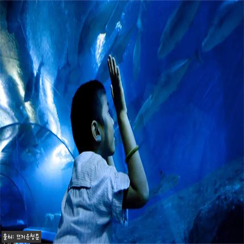 태국 파타야 언더워터 월드 입장권 8 관련 이미지 1