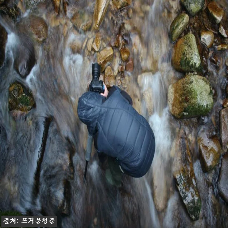 독일 뮌헨 검은 숲 프라이빗 하이킹 투어, 여행 일정에 넣기 좋은 2시간 30분 코스 9 독일 뮌헨 검은 숲 프라이빗 하이킹 관련 이미지 3