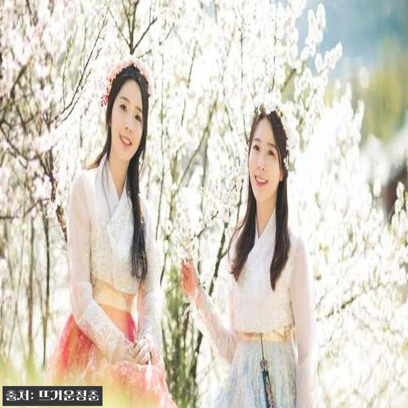 서울 종로 안국동 한복 대여 & 사진 촬영 체험, 13,900원 바우처 구매 전 꼭 확인할 점 9 서울 종로 안국동 한복 대여 & 관련 이미지 3