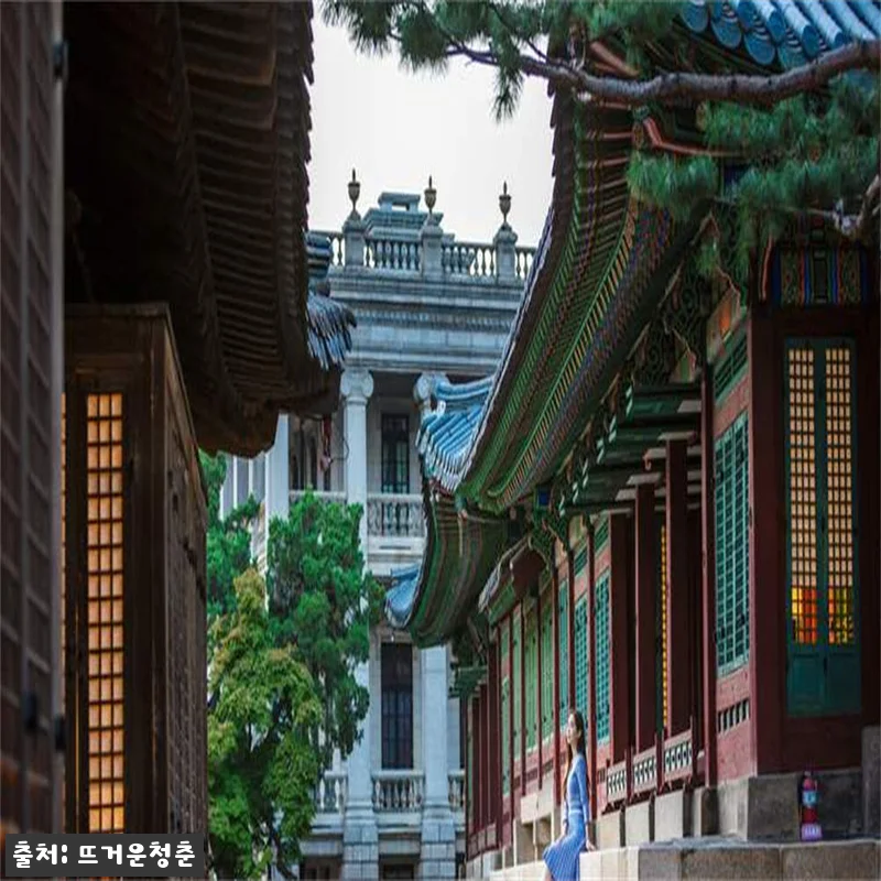 서울 덕수궁 야경 투어 찐정보, 2시간 동안 대한제국의 밤을 만나는 예약 팁 10 서울 덕수궁 야경 투어 찐정보, 2시 관련 이미지 3