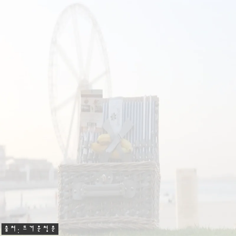 Home 32 두바이 사막 사파리 투어 찐후기 대신 예약 전 체크! 팜 주메이라 전용 해변·수영장까지 한 번에