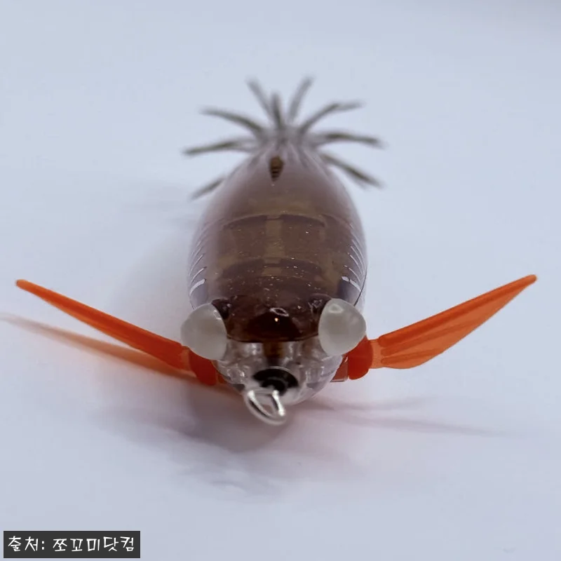 씨넥스 은비늘멸치 SE05 브라운 전갱이 세트, 선상 에기 옵션을 깔끔하게 고른 후기 5 씨넥스 은비늘멸치 SE05 브라운 전 관련 이미지 1
