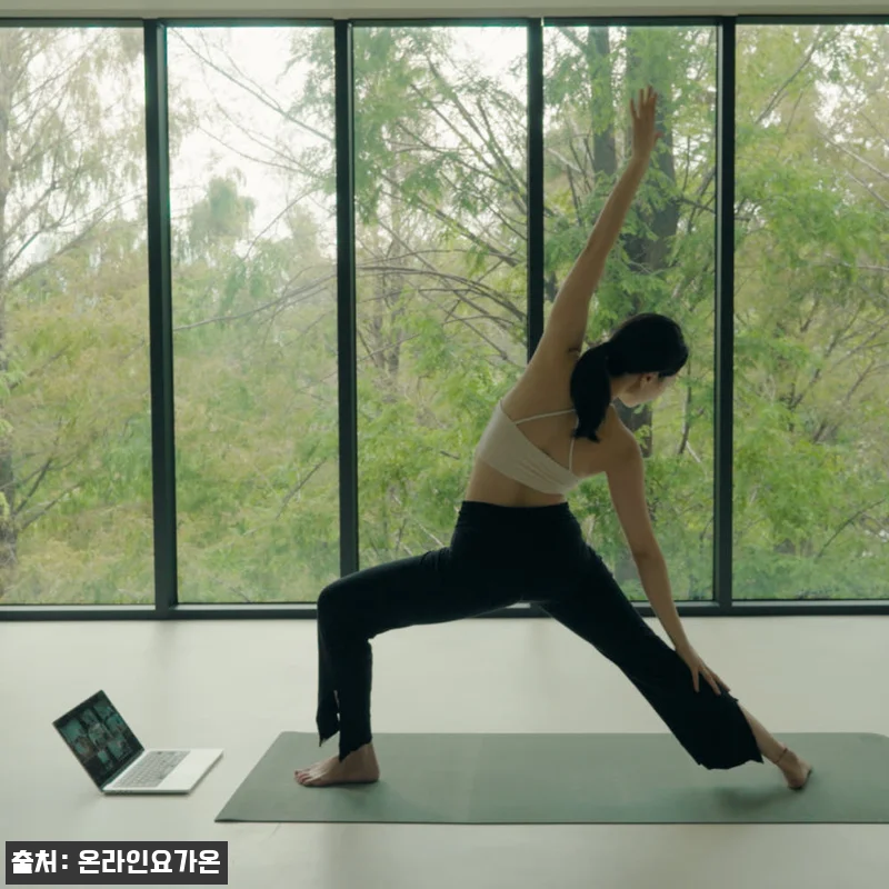 온라인요가온 YOGAON 모닝요가 V 관련 이미지 3