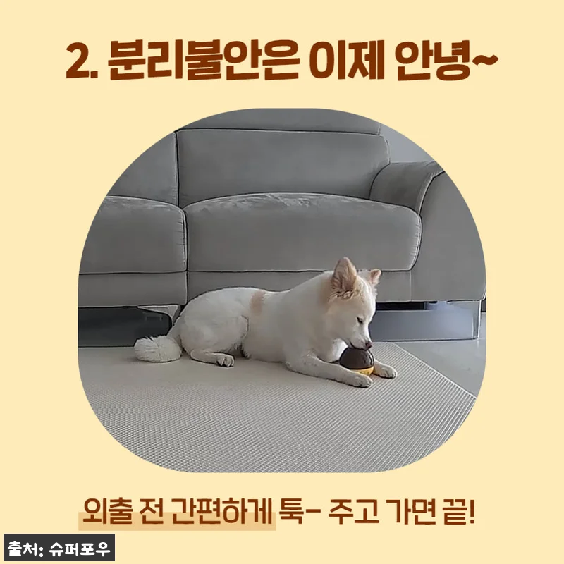 꿀단지 노즈워크 장난감 오래먹는 허니팟 옐로우 SET 조인트, 먹성 좋은 강아지도 집중한 이슈템 후기 11 꿀단지 노즈워크 장난감 오래먹는 허니 관련 이미지 3
