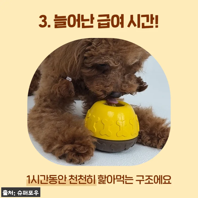꿀단지 노즈워크 장난감 오래먹는 허니팟 옐로우 SET 조인트, 먹성 좋은 강아지도 집중한 이슈템 후기 12 꿀단지 노즈워크 장난감 오래먹는 허니 관련 이미지 4