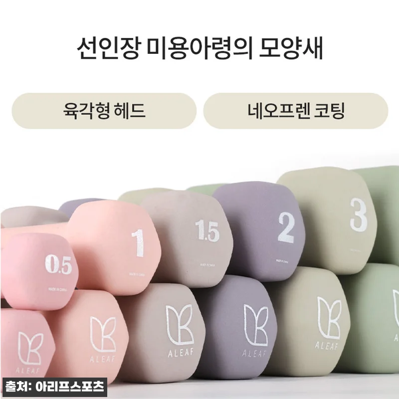 아리프 선인장 미용 아령 7kg 2개 라이트 바닐라, 거실 홈트용으로 눈여겨볼 이슈템 15 아리프 선인장 미용 아령 7kg 2개 관련 이미지 5