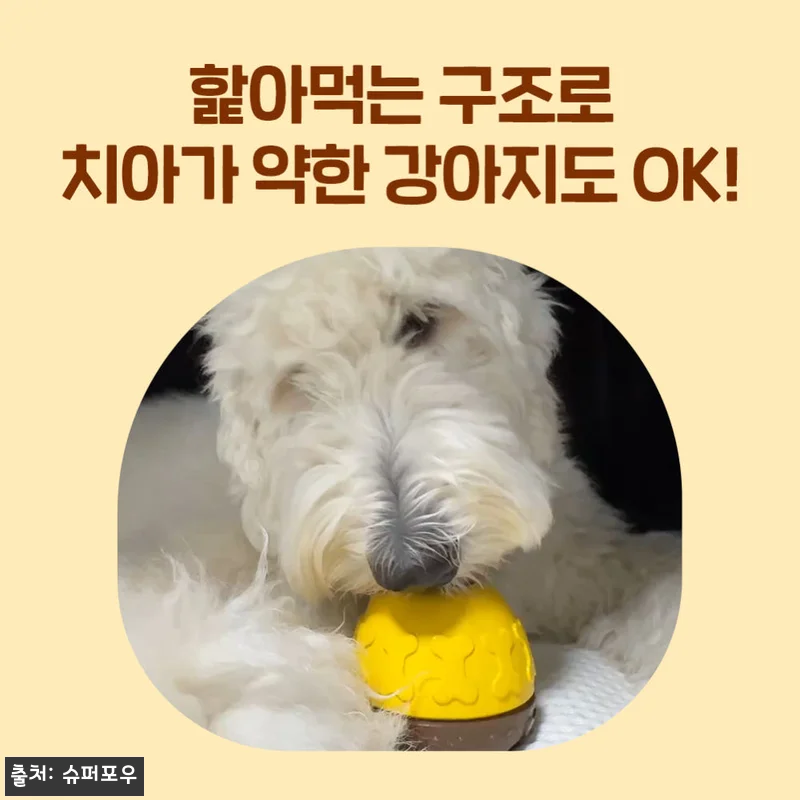 슈퍼포우 허니볼 조인트 350g, 관절 건강 간식으로 눈여겨볼 이슈템 12 슈퍼포우 허니볼 조인트 350g, 관 관련 이미지 5