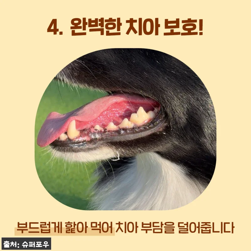 꿀단지 노즈워크 장난감 오래먹는 허니팟 옐로우 SET 조인트, 먹성 좋은 강아지도 집중한 이슈템 후기 13 꿀단지 노즈워크 장난감 오래먹는 허니 관련 이미지 5
