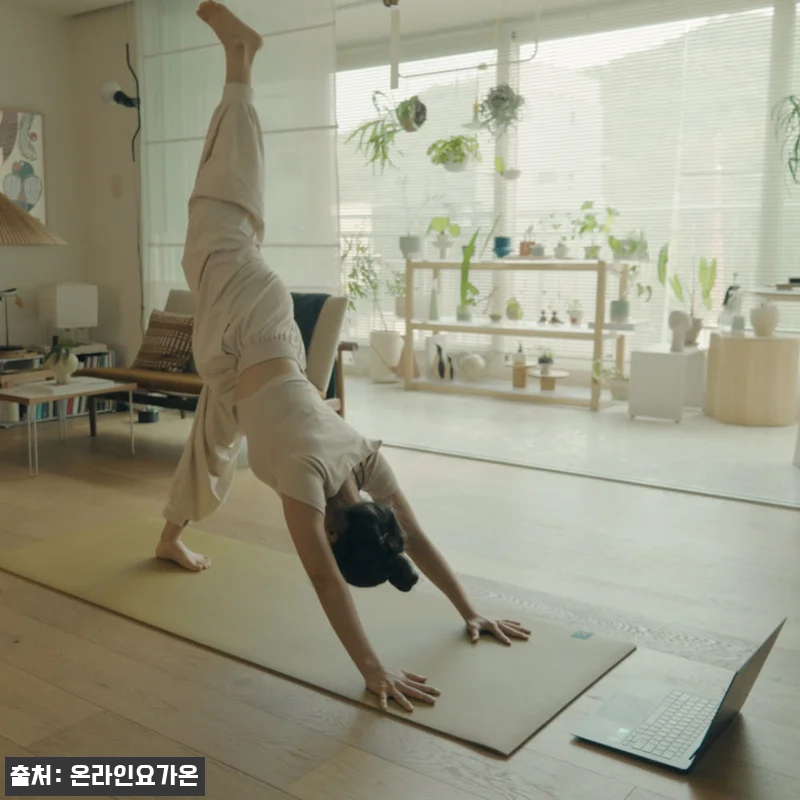 온라인요가온 YOGAON 모닝요가 V 관련 이미지 7