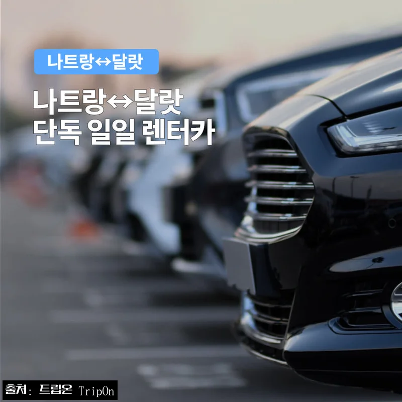 나트랑 출발 달랏 렌트카 프라이빗 차량 택시투어, 단독차량으로 일정 짜기 전 체크한 예약 포인트