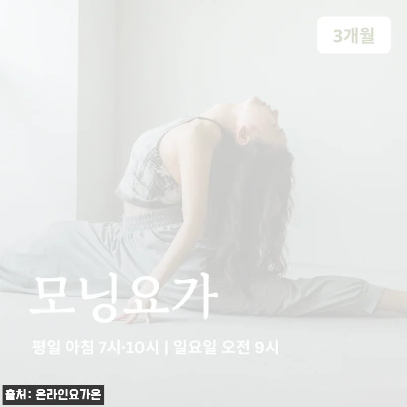 온라인요가온 YOGAON 모닝요가 VIP 수강권, 집에서 시작하는 아침 요가 루틴 체크 후기