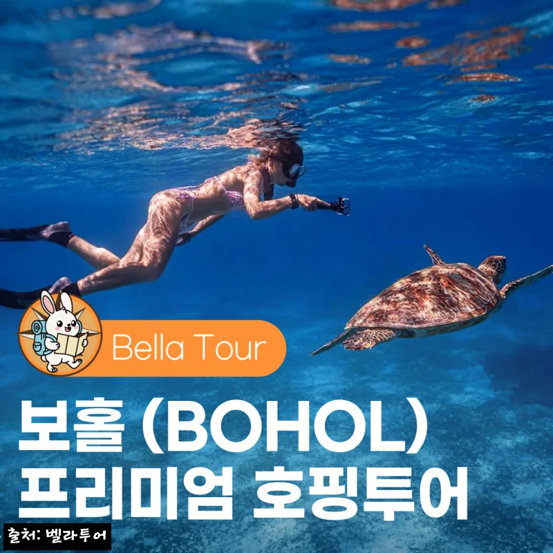 보홀 호핑투어 발리카삭 버진아일랜드, 일정 한 번에 담은 벨라투어 예약 체크 후기