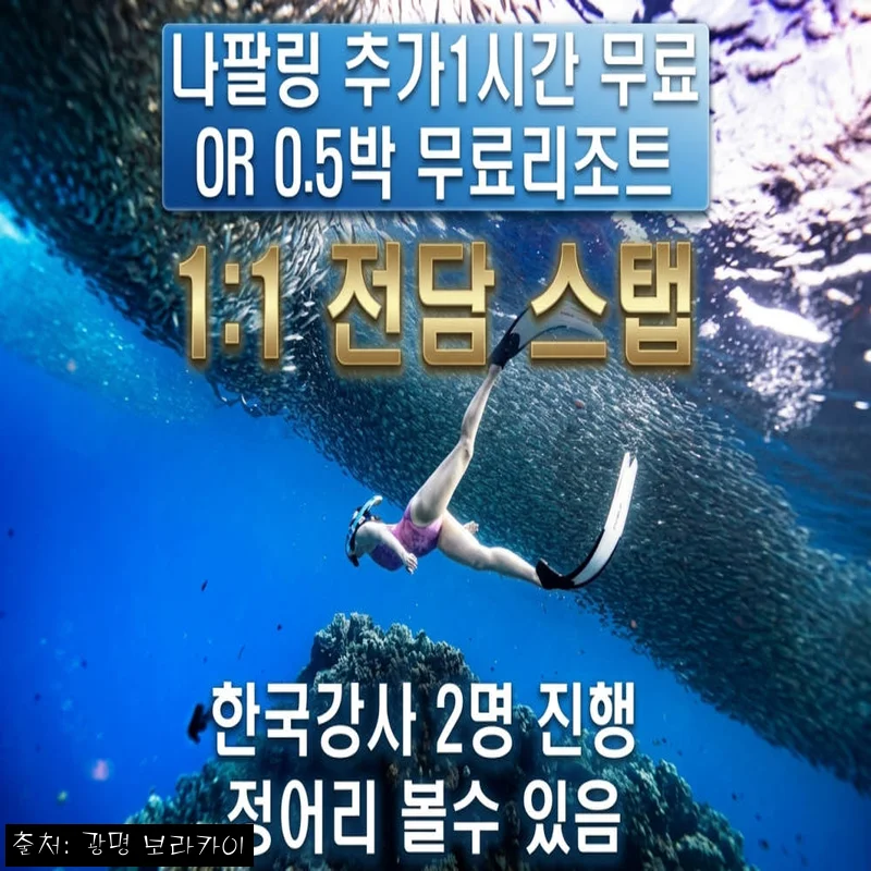 보홀 1대1전담스탭 체험프리다이빙 찐후기, 나팔링 정어리 스냅까지 39,000원 이슈템