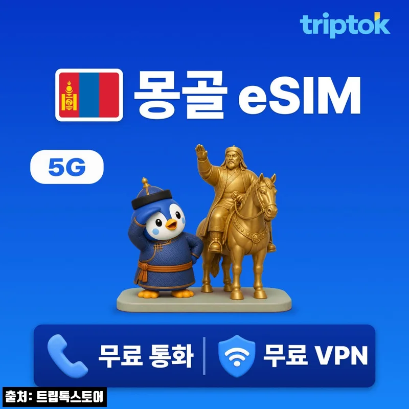몽골 울란바토르 eSIM 8,900원, 출국 전 챙기기 좋은 데이터 로밍 이슈템